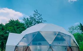 Phalesia Glamping Otel Sapanca